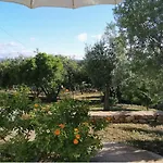 לינה וארוחת בוקר 2 Alegria