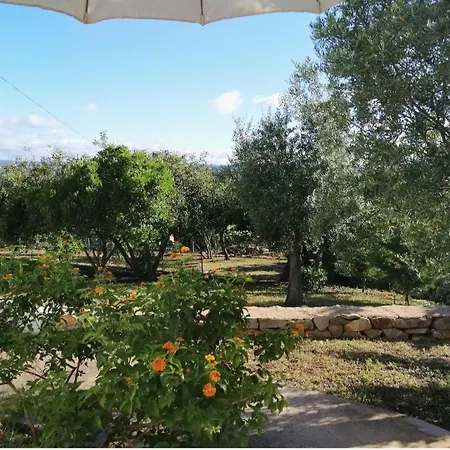 Bed & Breakfast 2 Alegria